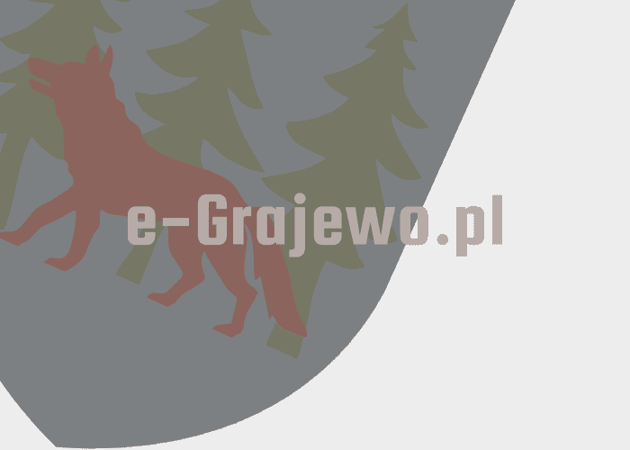 Rajgród. Wilki coraz częściej atakują